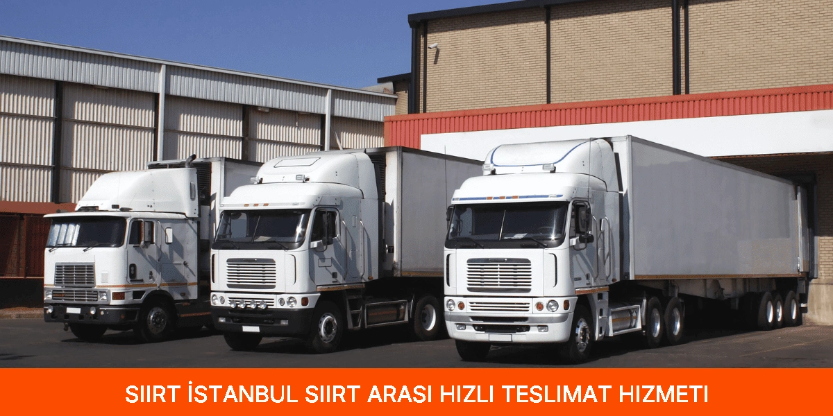 İstanbul Siirt Arası Hızlı Teslimat Hizmeti